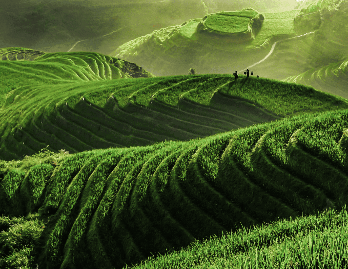 China